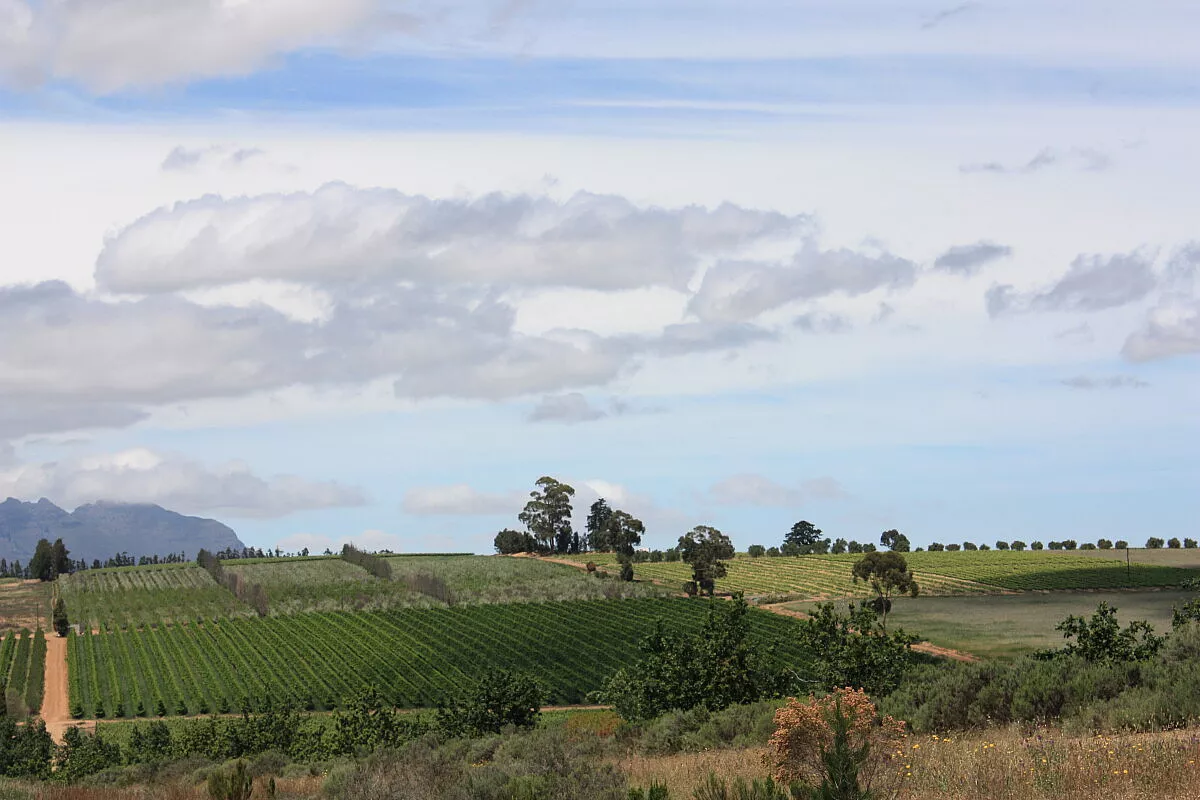 Capo di Buona Speranza – Winelands in rotelle