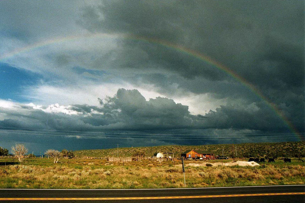 Arizona e California: notizie pratiche