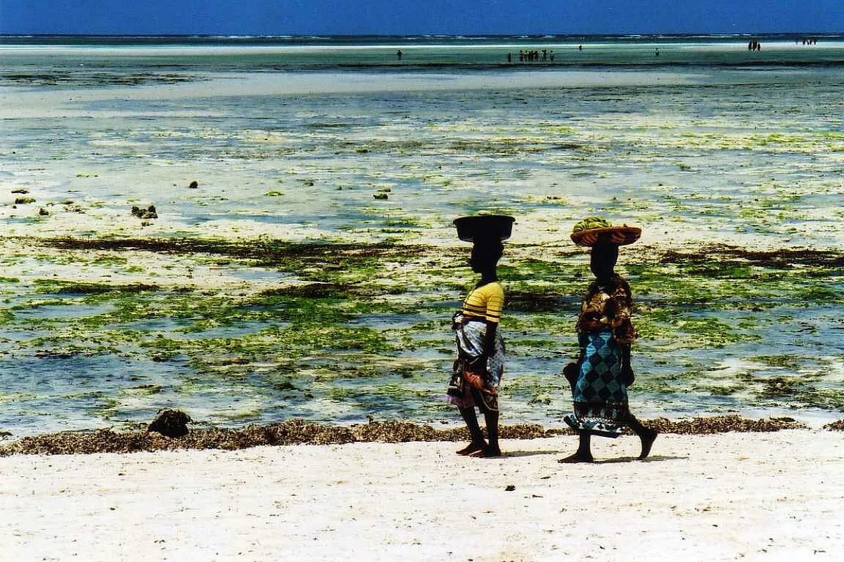 Kenya tutto quello che si deve fare