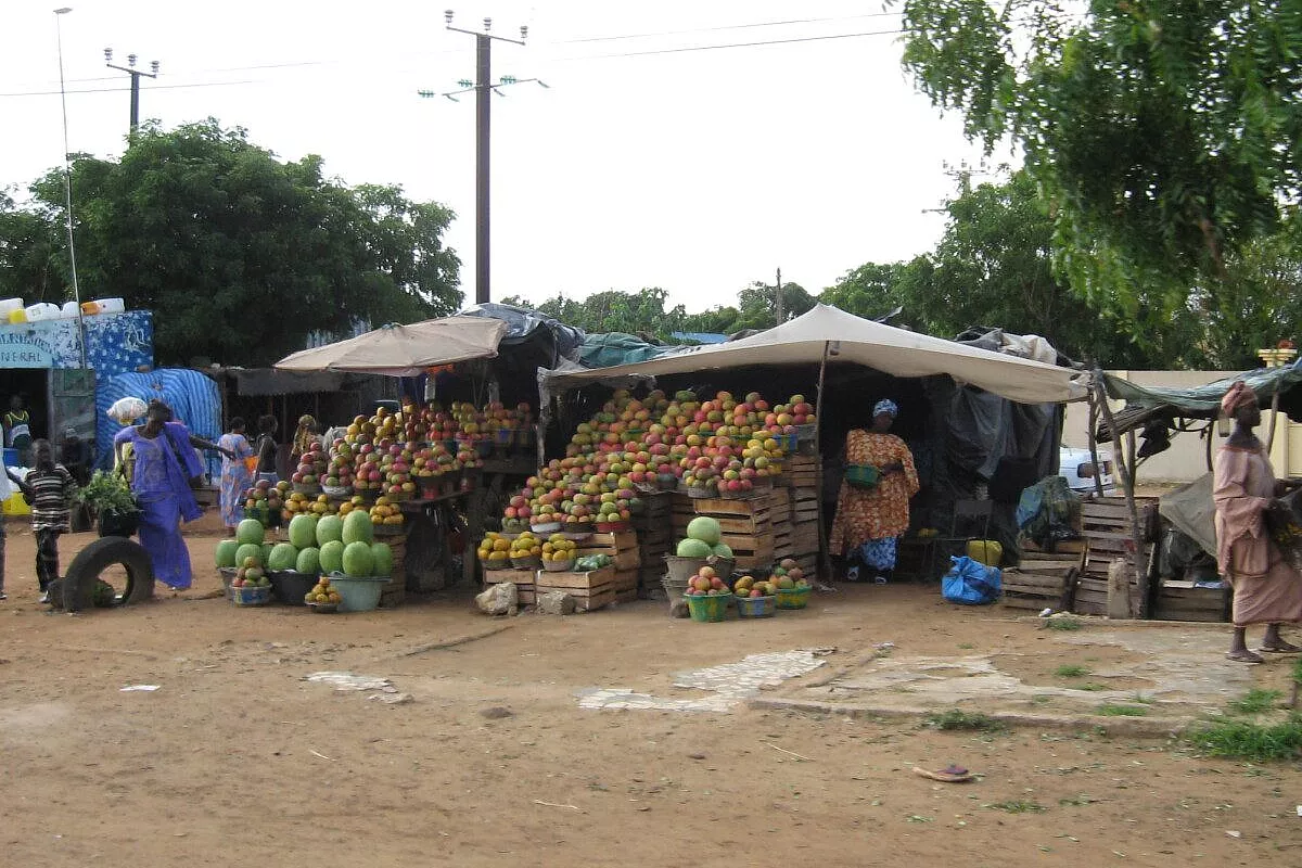 Senegal: africa autentica