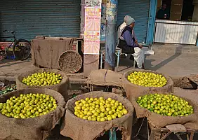 turistipercaso india-5wbvf