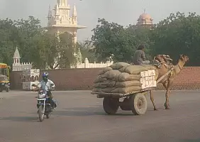 turistipercaso india-8yanb