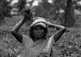 turistipercaso india-fxh55