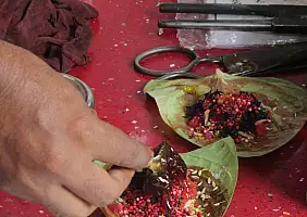 turistipercaso india-gjwv9