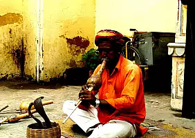 turistipercaso india-gkctx
