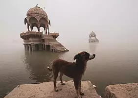 turistipercaso india-h6yjq