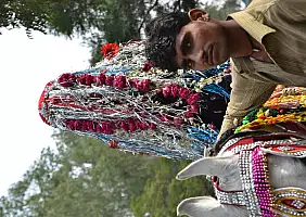 turistipercaso india-qxbwf