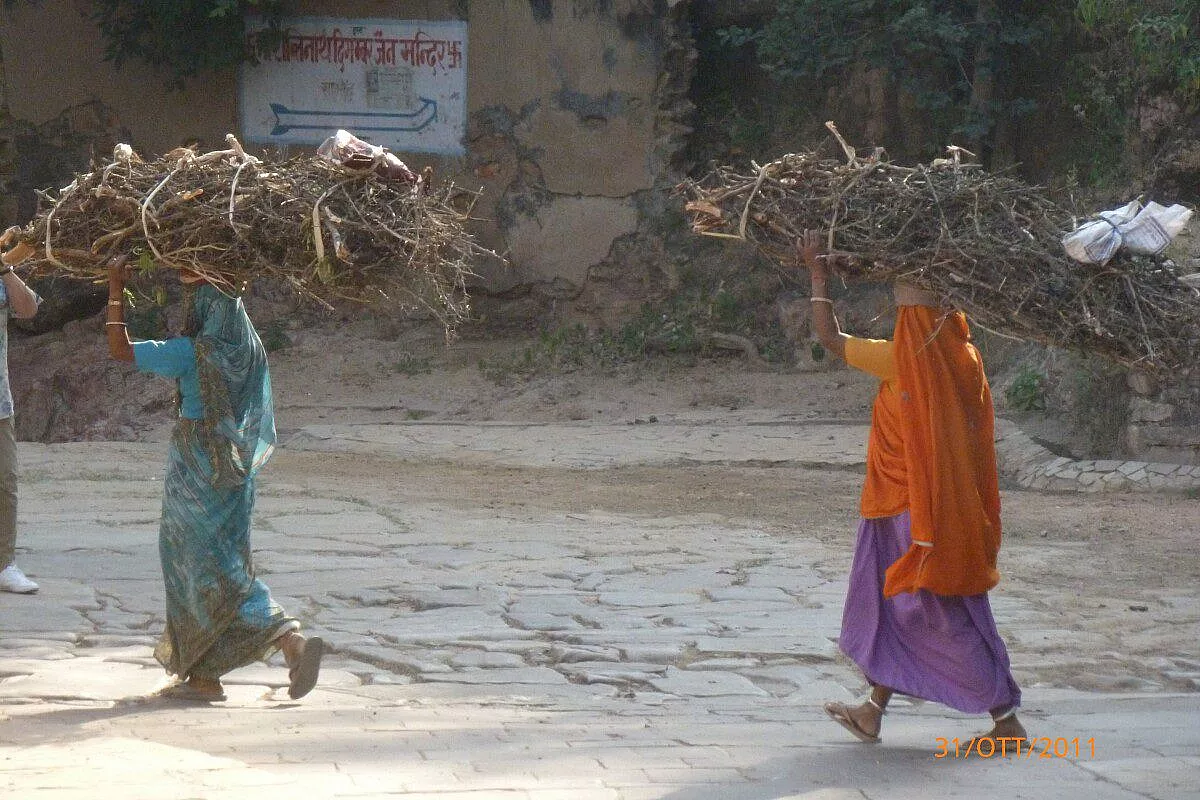 INDIA DEL NORD, RAJASTAN: Magnificenza e povertà all’ennesima potenza