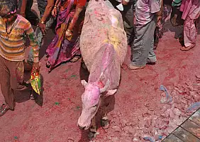turistipercaso india-s15k3