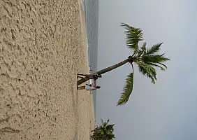 turistipercaso india-vcxdf