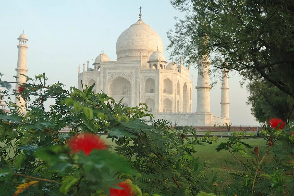 Il Taj