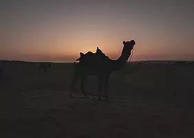 turistipercaso india-wnaff