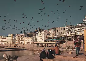 turistipercaso india-xzz1f