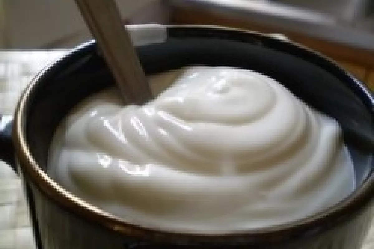 Salsa di yogurt