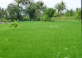 turistipercaso indonesia-4h854