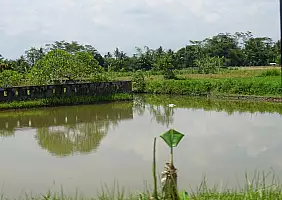 turistipercaso indonesia-7jsgz