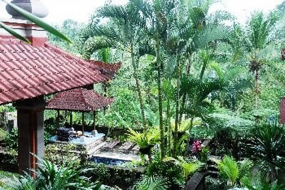 Singapore, Bali e Sarawak viaggio economico