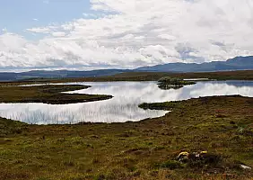 turistipercaso inghilterra-pzu82