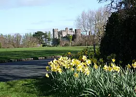 turistipercaso irlanda-1-hv98g