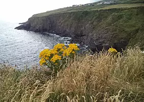 turistipercaso irlanda-24srf