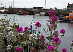 turistipercaso irlanda-8swsa