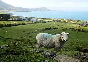 turistipercaso irlanda-9jcch