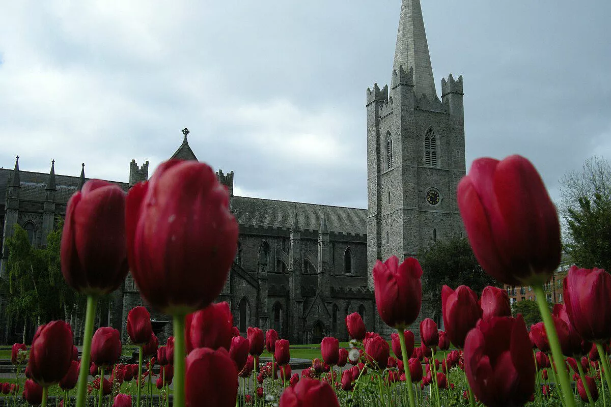 Dubliners