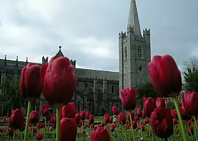 turistipercaso irlanda-axheu