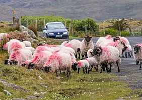 turistipercaso irlanda-gaw3g