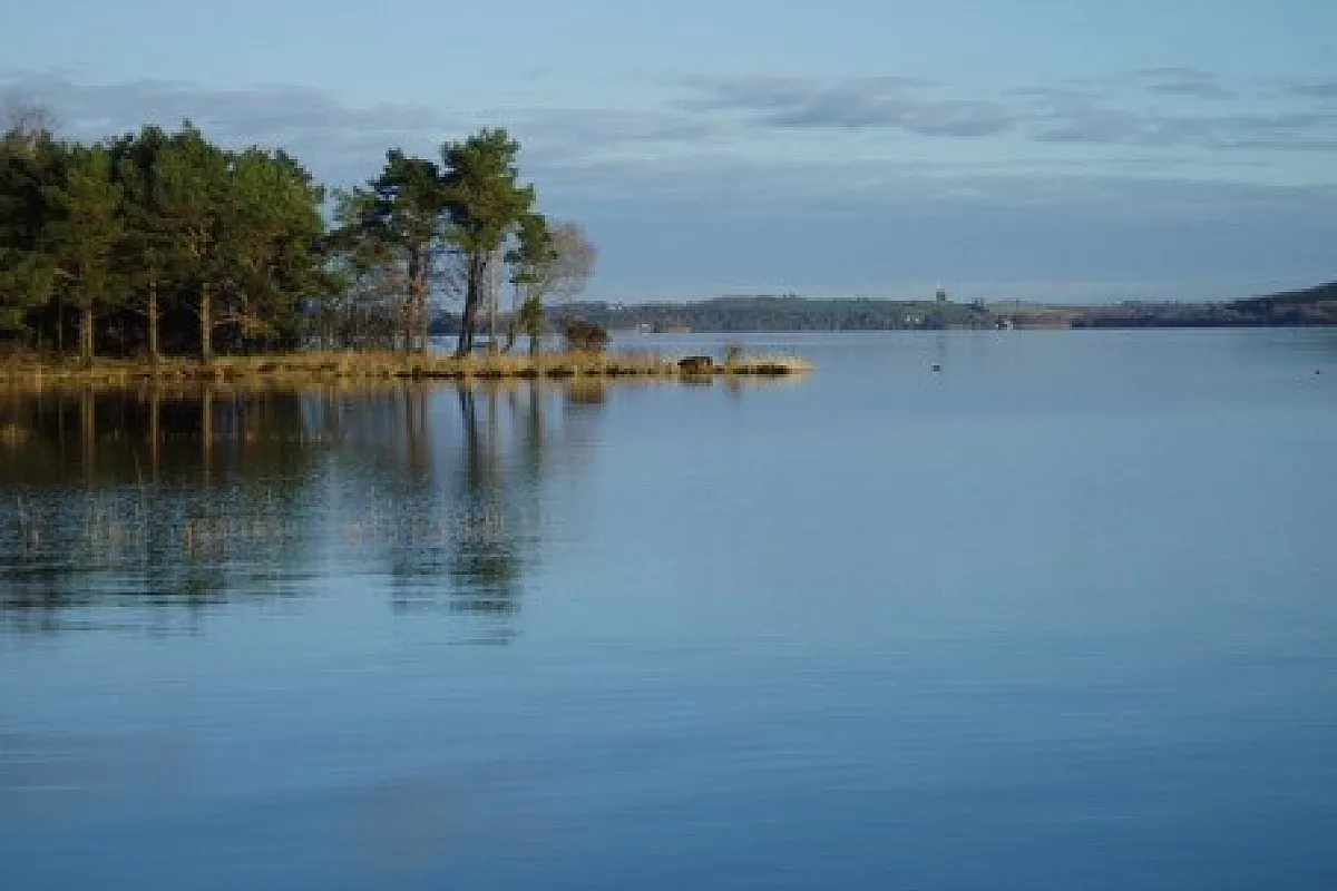 verde irlanda
