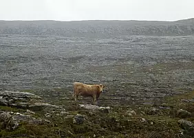 turistipercaso irlanda-pp2gx