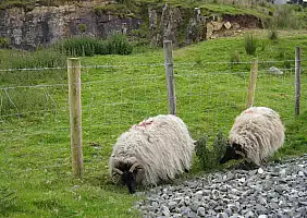 turistipercaso irlanda-q2cm6