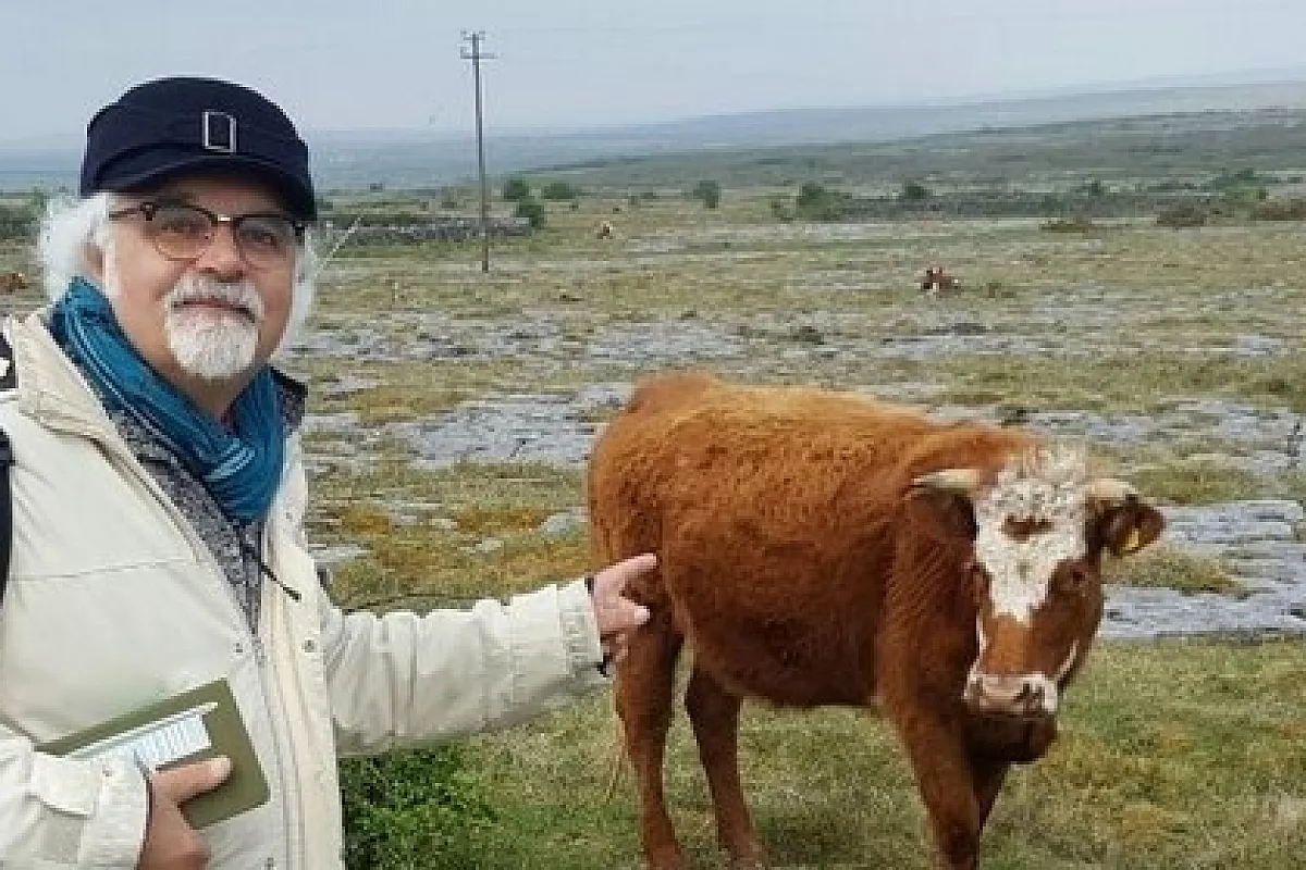 L’Irlanda è verde davvero