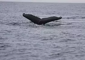 turistipercaso islanda-68a6m