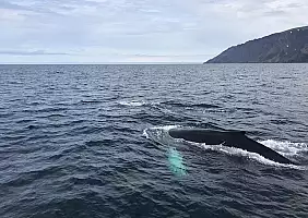 turistipercaso islanda-7y4tq