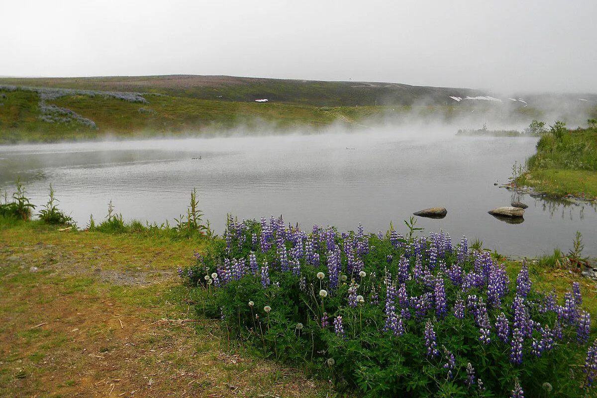 Husavik