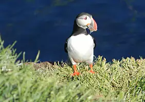 turistipercaso islanda-y2zb8