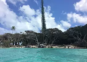 turistipercaso isola-dei-pini-6h2ys