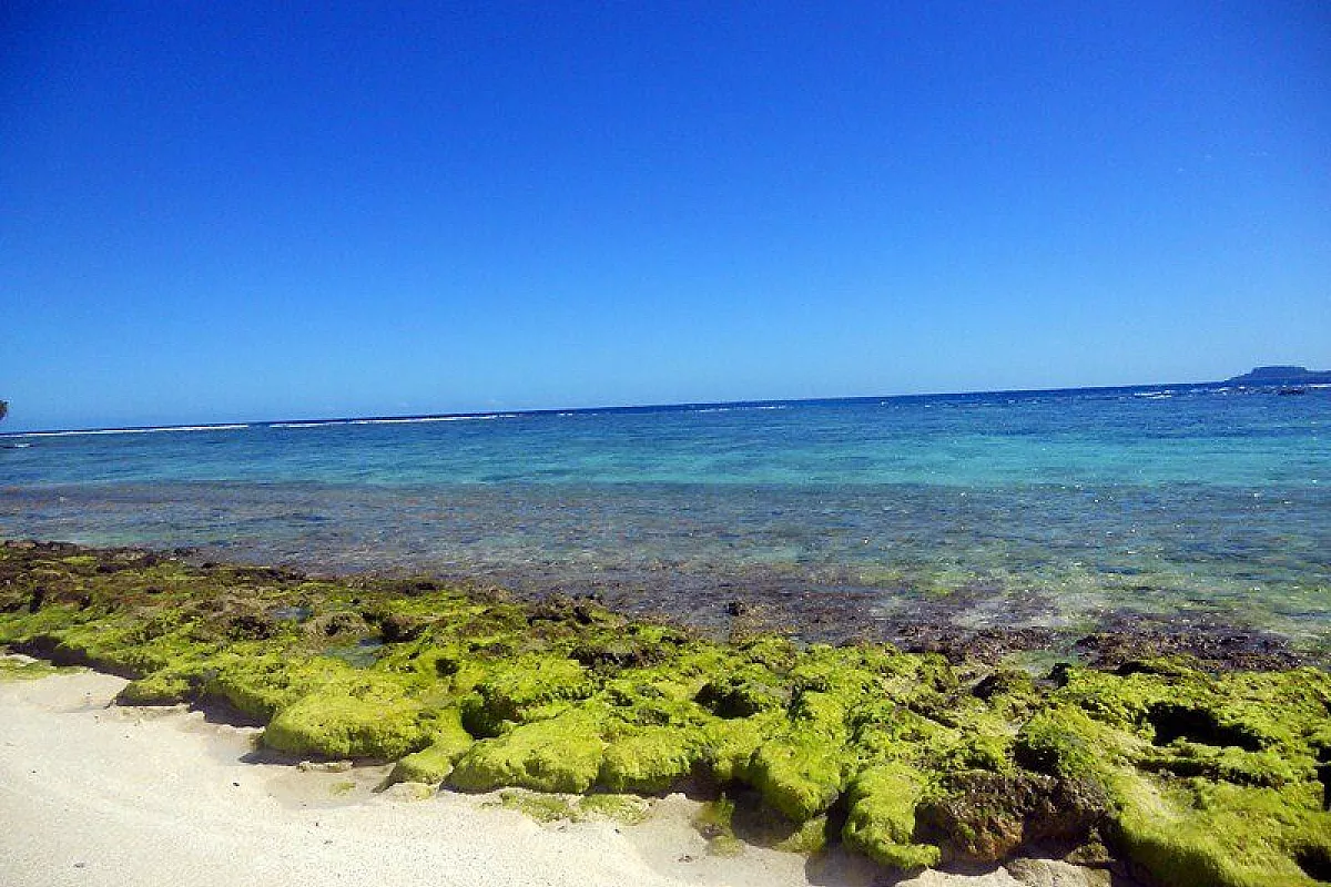 Iles Loyauté, Maré