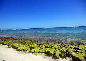turistipercaso isola-dei-pini-ym6k9