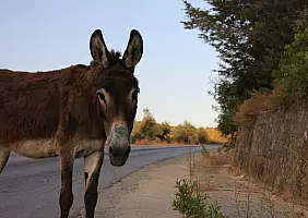 turistipercaso isola-di-lefkada-h1gfc