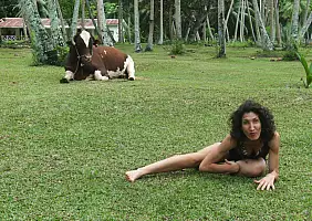 turistipercaso isola-di-praslin-xsby2