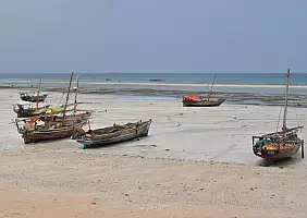turistipercaso isola-di-zanzibar-2wt2y