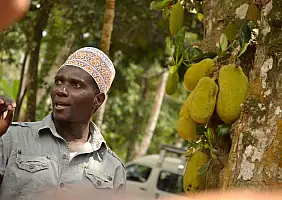 turistipercaso isola-di-zanzibar-etf9g