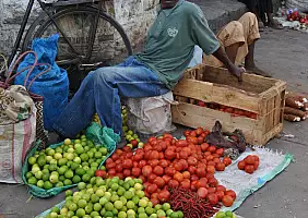 turistipercaso isola-di-zanzibar-n8w6k