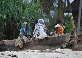 turistipercaso isola-di-zanzibar-vwu7p