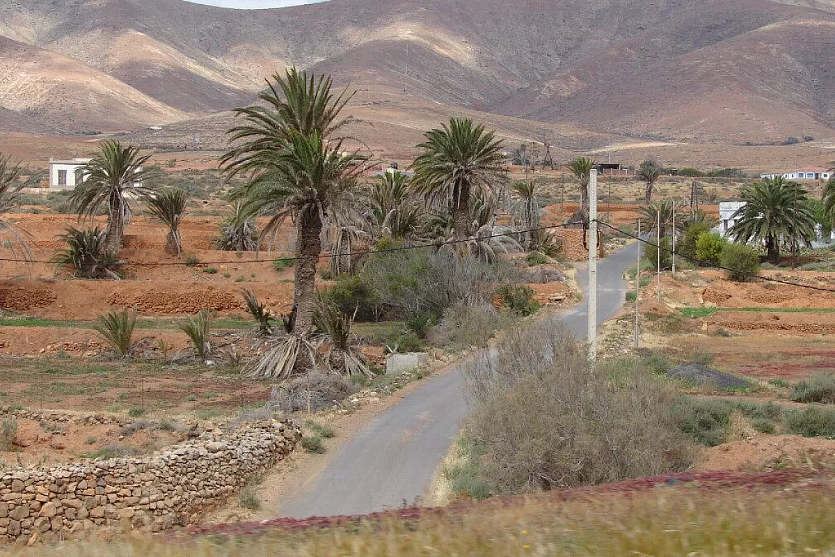 Fuerteventura Low Cost