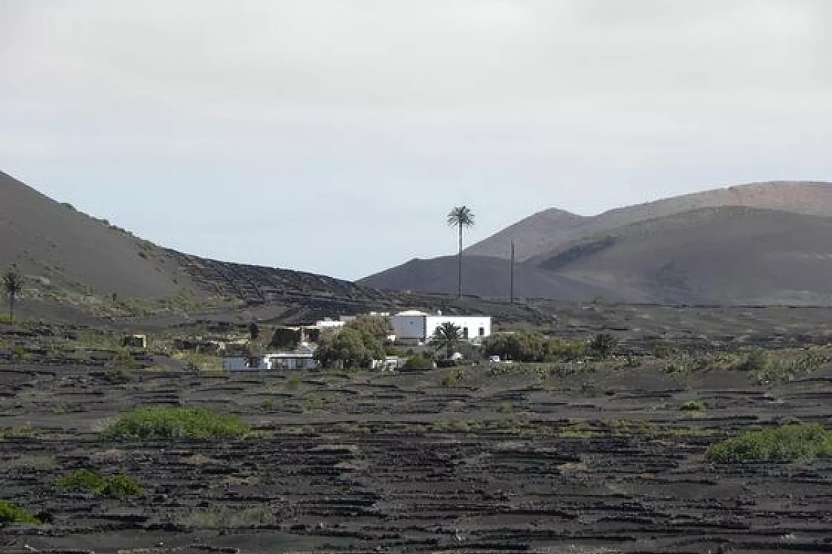 Lanzarote isola dei bambini