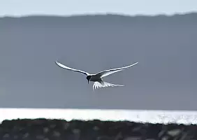 turistipercaso isole-faroe-wwv7q