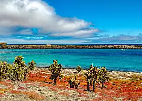 turistipercaso isole-galapagos-24m99